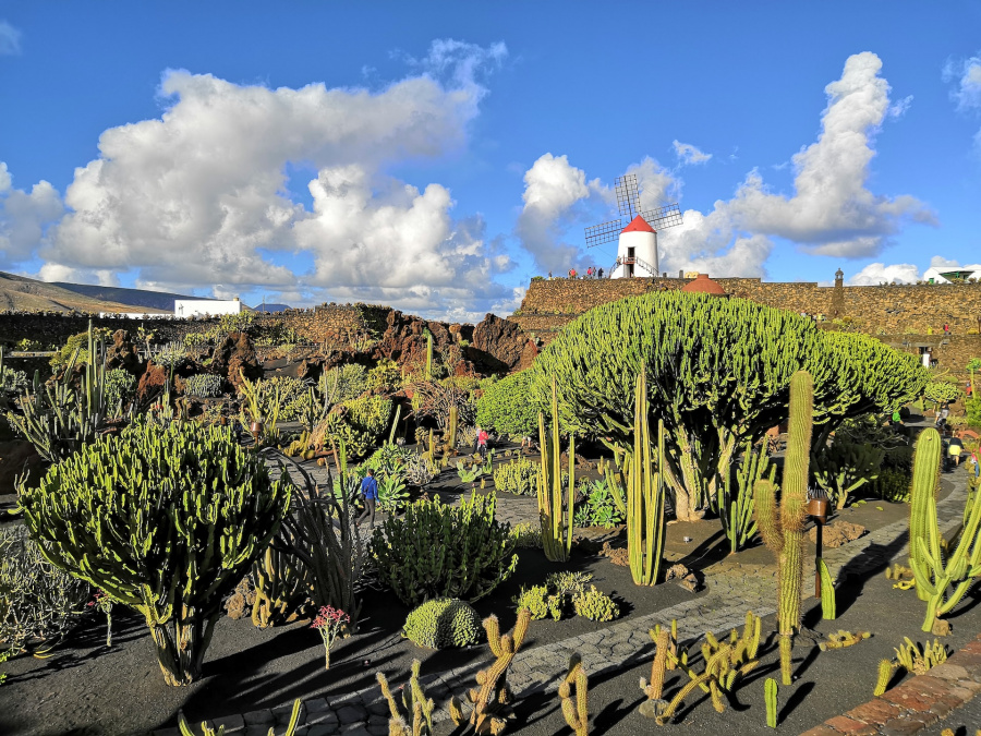 What are the best things to do in Lanzarote for Senior Citizens