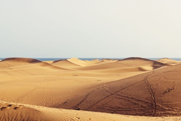 Influencer challenge to find €1,000 in the Maspalomas Sand Dunes goes viral