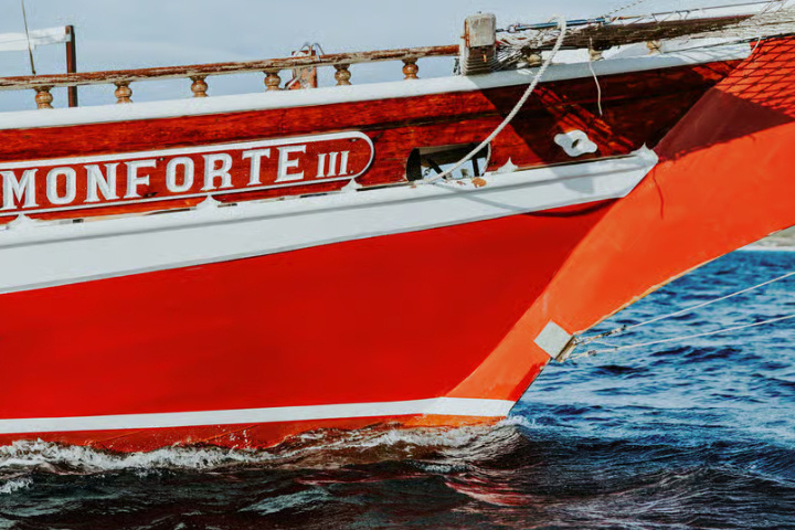 e9967a096b6d96e9296a7854cb14743adc59a99f81406d9de0bd57cc62a2b288