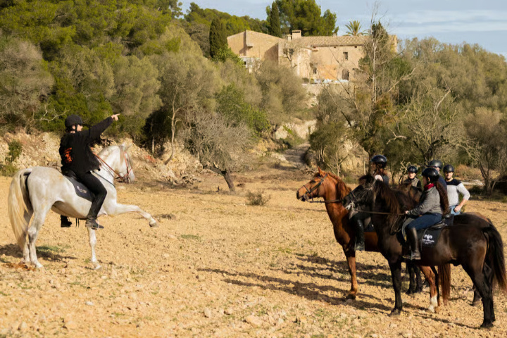 03b6fc2272e668a3f5ba92339eebe0be9c03b0b25cbf61b1e1664f7be29017ab