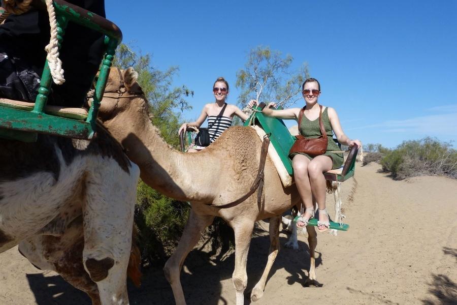 camel-ride-gran-canaria-tour_2