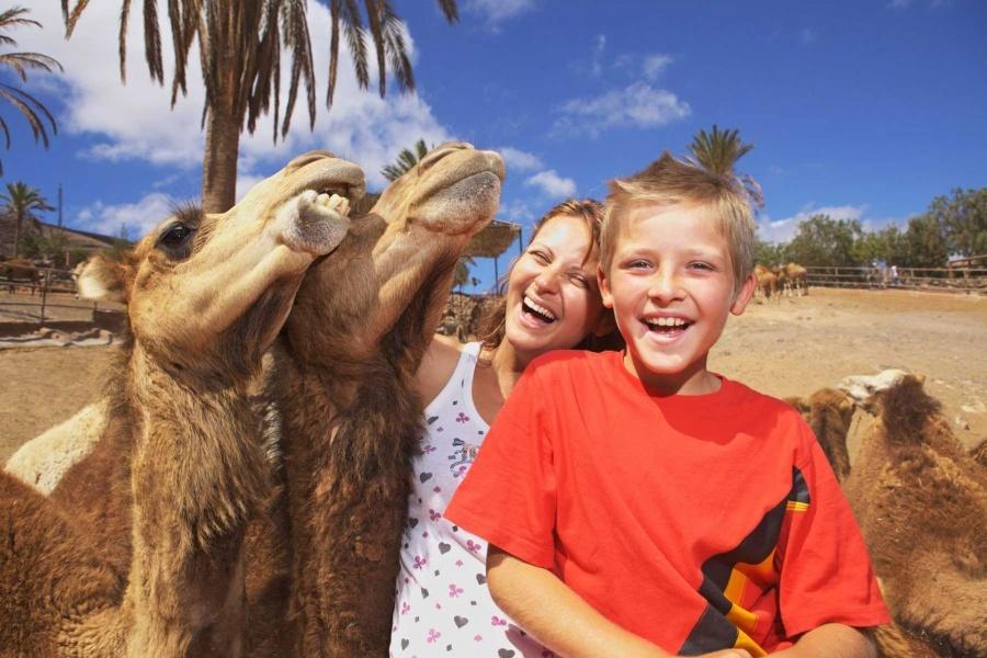/images/econa/fields/2/com_content_article/257/oasis-fuerteventura-with-camel-safari_2_L.jpg