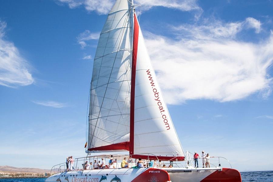 obycat-corralejo-boat-trips_3_l