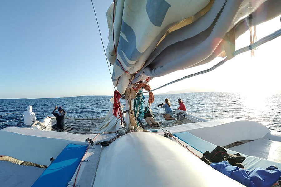 whale-watching-lanzarote_3_l