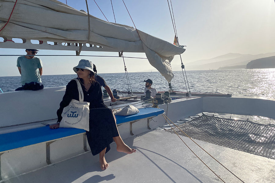 dolphin-watching-lanzarote-at-sunset_2_l