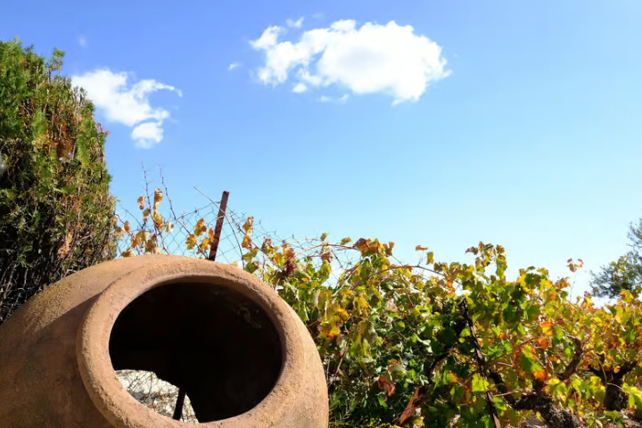 c6a030806f8317c85a8541d2815054288be684ed3942188b3ea12fc058fdef3c