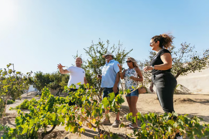 cead08a73eaac2eed82ad00d025733eee6dc91acf8f024024319d6269c5a213e