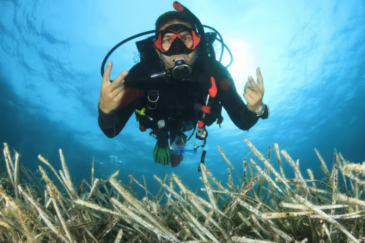 44e25986395295b309930c6f6368fef0c4474ab514052614cf52f04c8211535c