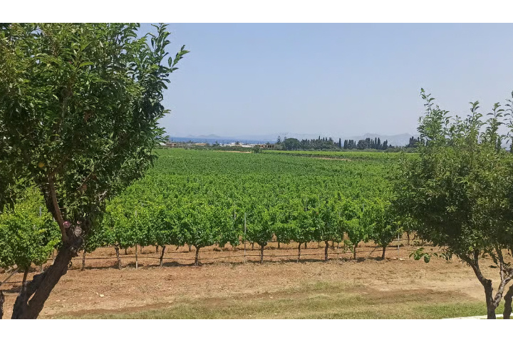 ef9baff7c7f661c0f8324e443b5da999e278db84c7a06c721324a913b028c596