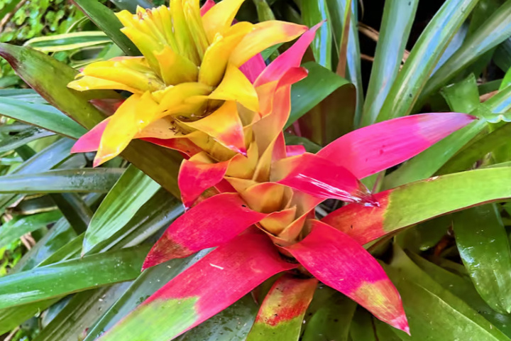 3381a3d38412717f4d21c16a605a8dc2d1f2697673094e23c764aad42164b9ea