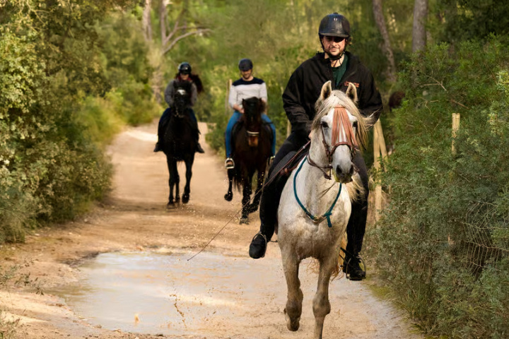 9bece3bccc96e51dbae1c3cf7c0a108889f336234835d303096e884be020d096