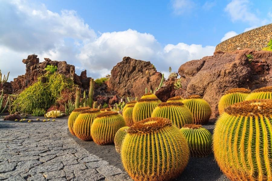 lanzarote manrique tour