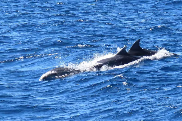 897834949fe3d8fd64acd4681ef1f37bd7982c824db8c95894bff8c266efb045