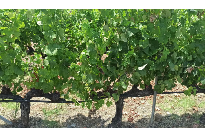 bb591c59fb4cd64e71fc6283eeb58881afd69c6ede7c445617ee23c575685495