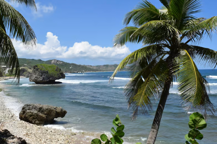 76e76542ed46b9271505384c0952ffdf1c8469c3aba1a61b6504675b6df70b2c-1