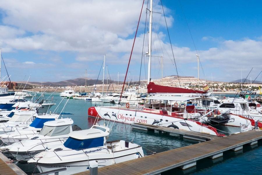 obycat-corralejo-boat-trips_5_l
