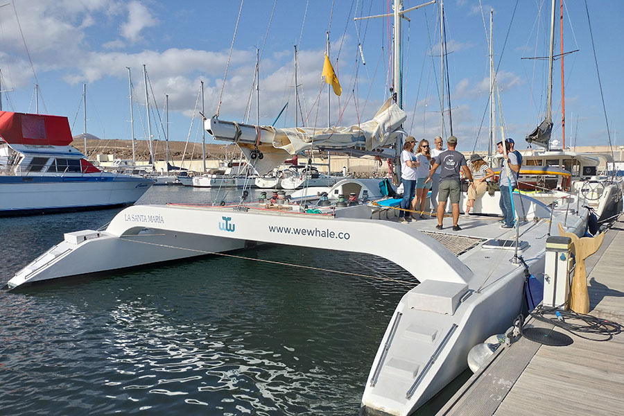 whale-watching-lanzarote_5_l