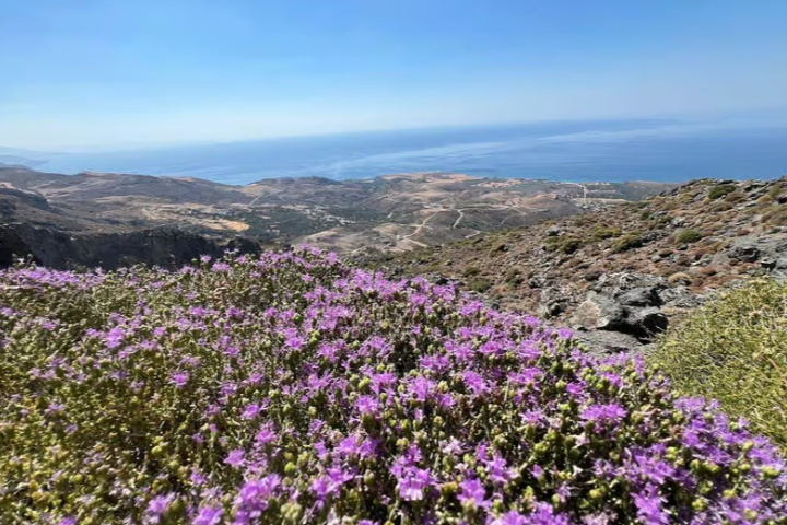 470ed666dd85bb0e168d3f9e76416b5462bbf9b4abb645e47a26b3c16ada0c89