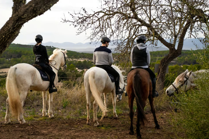 a0d0dcc69fdd0ee0192cff049b21062b914b4e33c0a039e88e49ed2e04c46c67