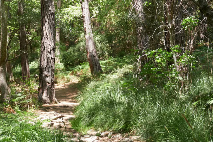 cbe0c731c29d519419dd0950f38b3ad07e6202861983f935c03190e45717b301