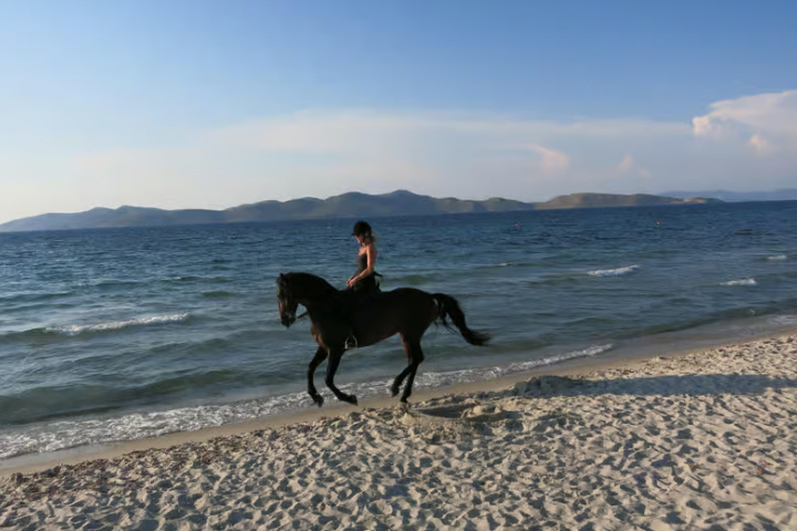 b7ded1880c94a8fae359d1b59b8c5d7ae085ec3c00b16b63e67928bb14eea3d9