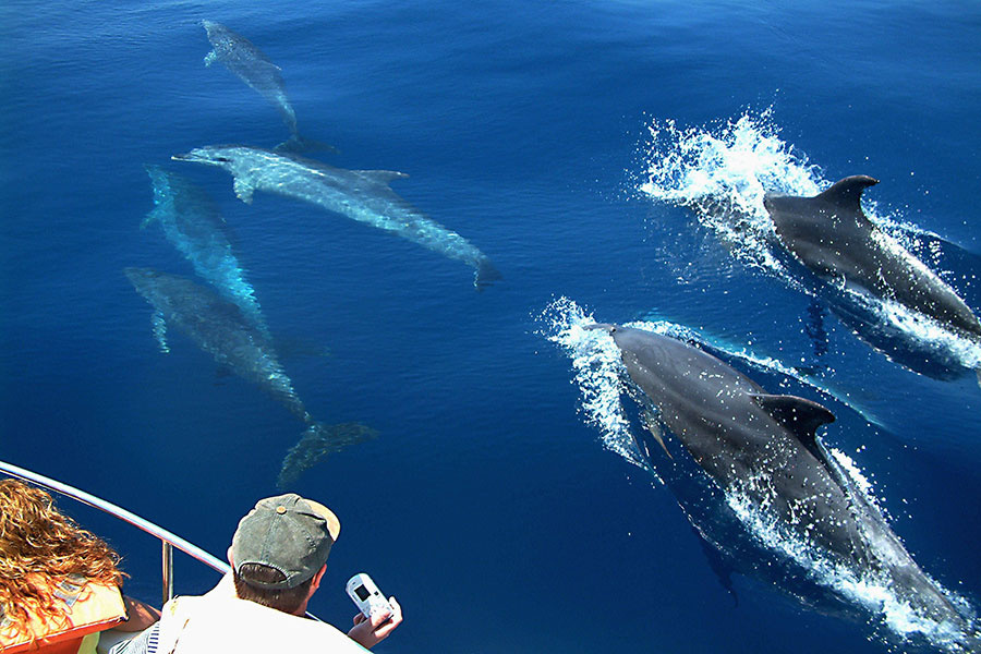 Catamaran cruise in Lanzarote sailing near the Papagayo coastline