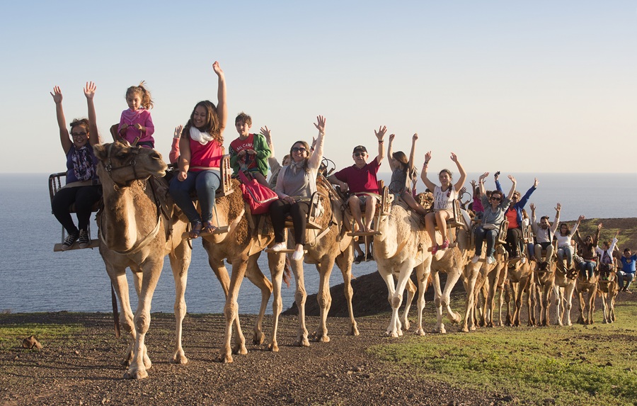 Oasis Park Camels Experience